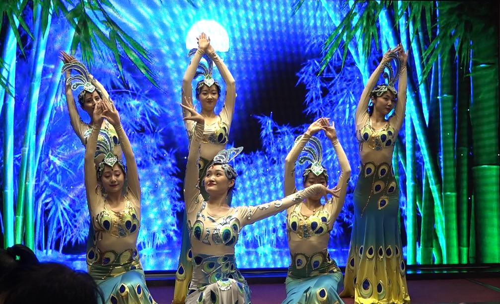 双城论坛完整版,双城论坛今日报道