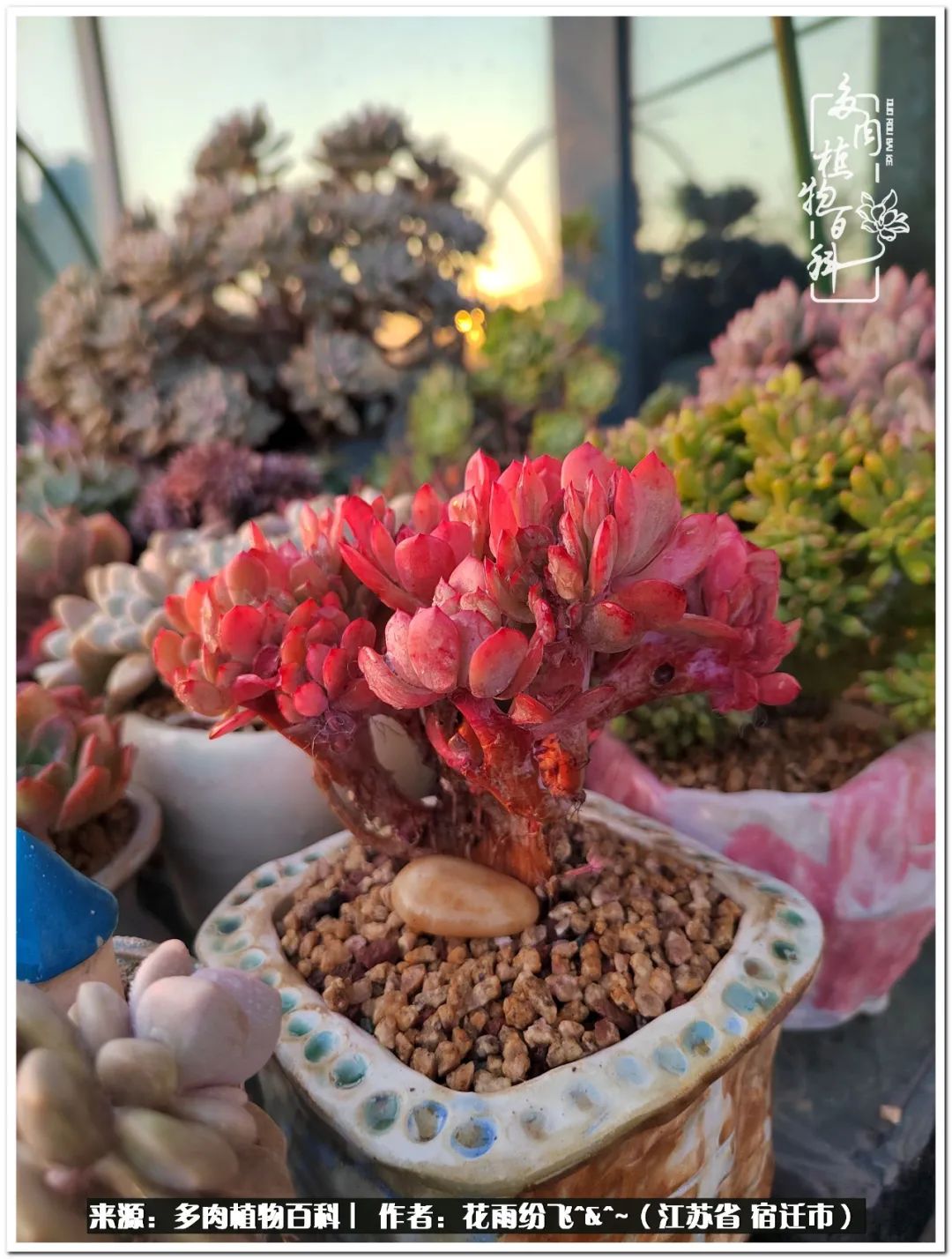 快乐的童年时光视频,回味快乐的童年美好的时光