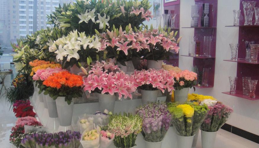 2023加盟店最火爆项目排行榜,2023年最赚钱加盟店