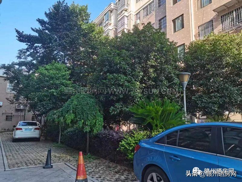 赣州金樽花园是哪年的房子,赣州金樽花园房价