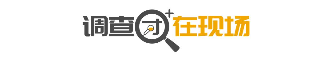 调查|道路施工有“拖延症”？市民：设计得挺好，干才有希望