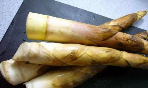 富含天然叶酸的食物有哪些,四款富含叶酸的食物快吃起来