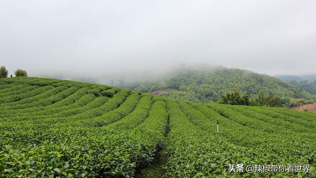 江苏连云港海滨城市,连云港沿海风景带