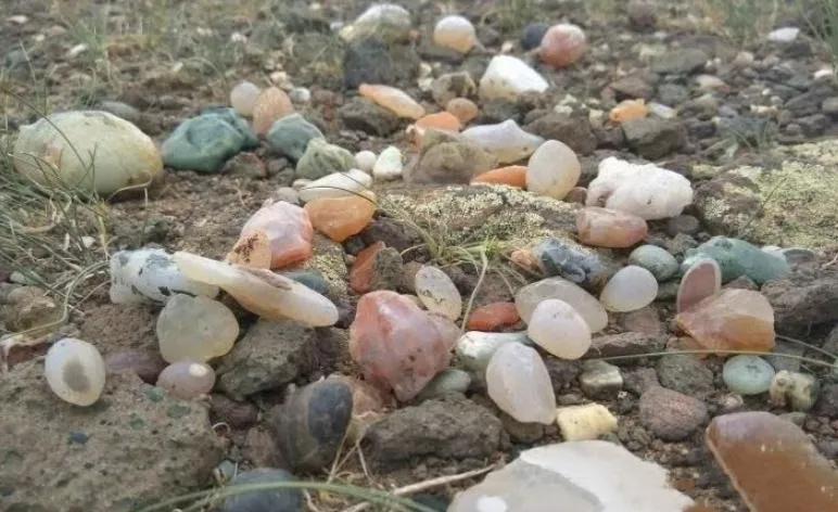 中国游客去非洲，想捡满地的“玉石”，却被导游极力劝阻