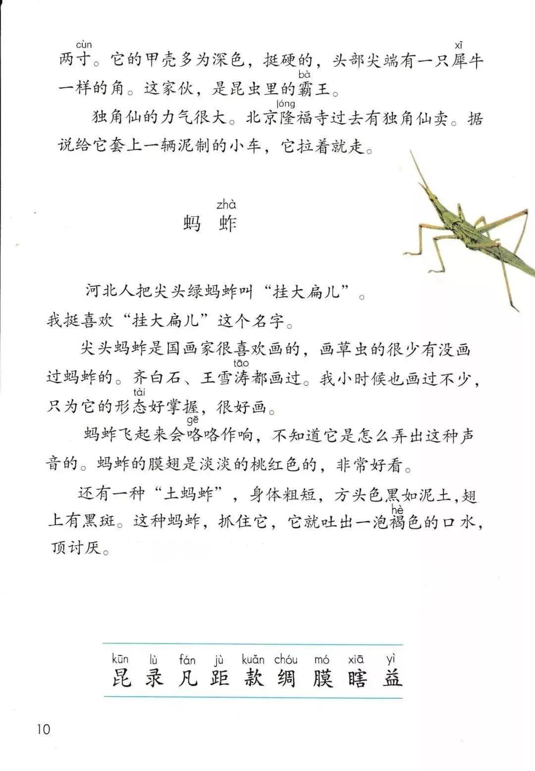 人教版小学语文三年级下册课本（电子版）寒假预习，快收藏