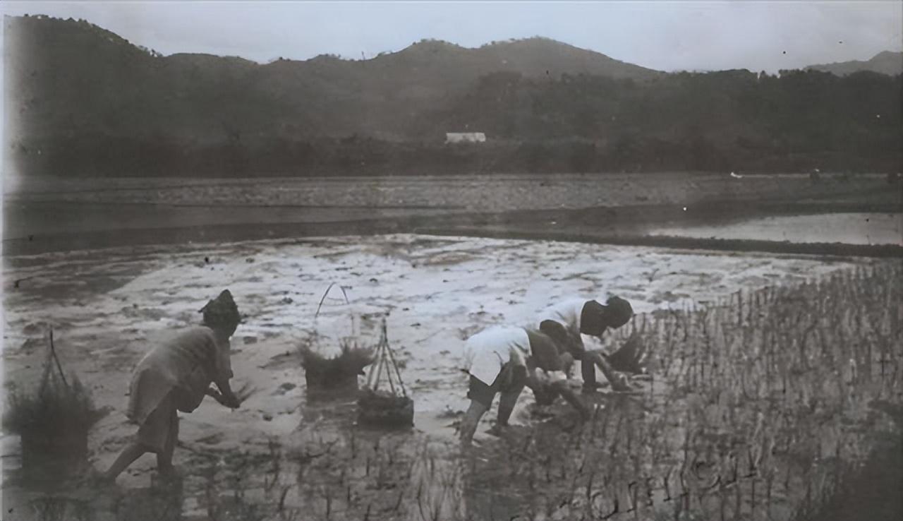 鲁迅闰土逝世时间图片,鲁迅儿时玩伴闰土的后人现在咋样