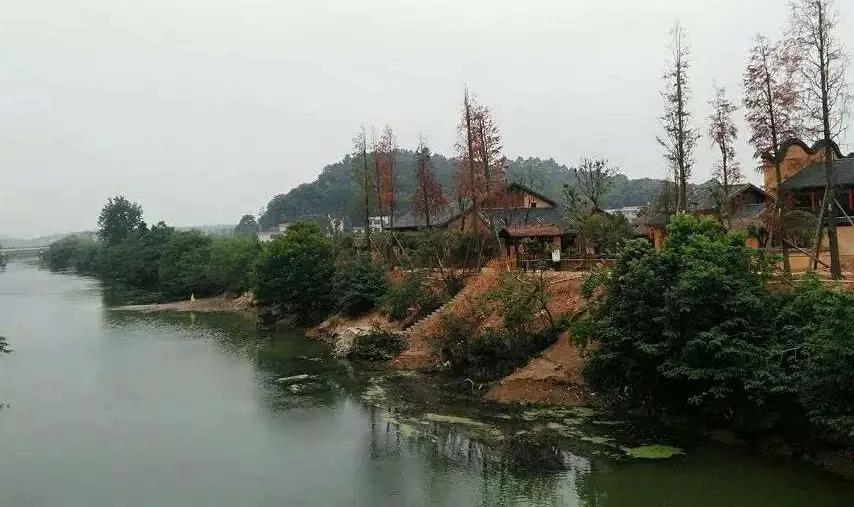 湖南宁乡道林镇,长沙市道林镇