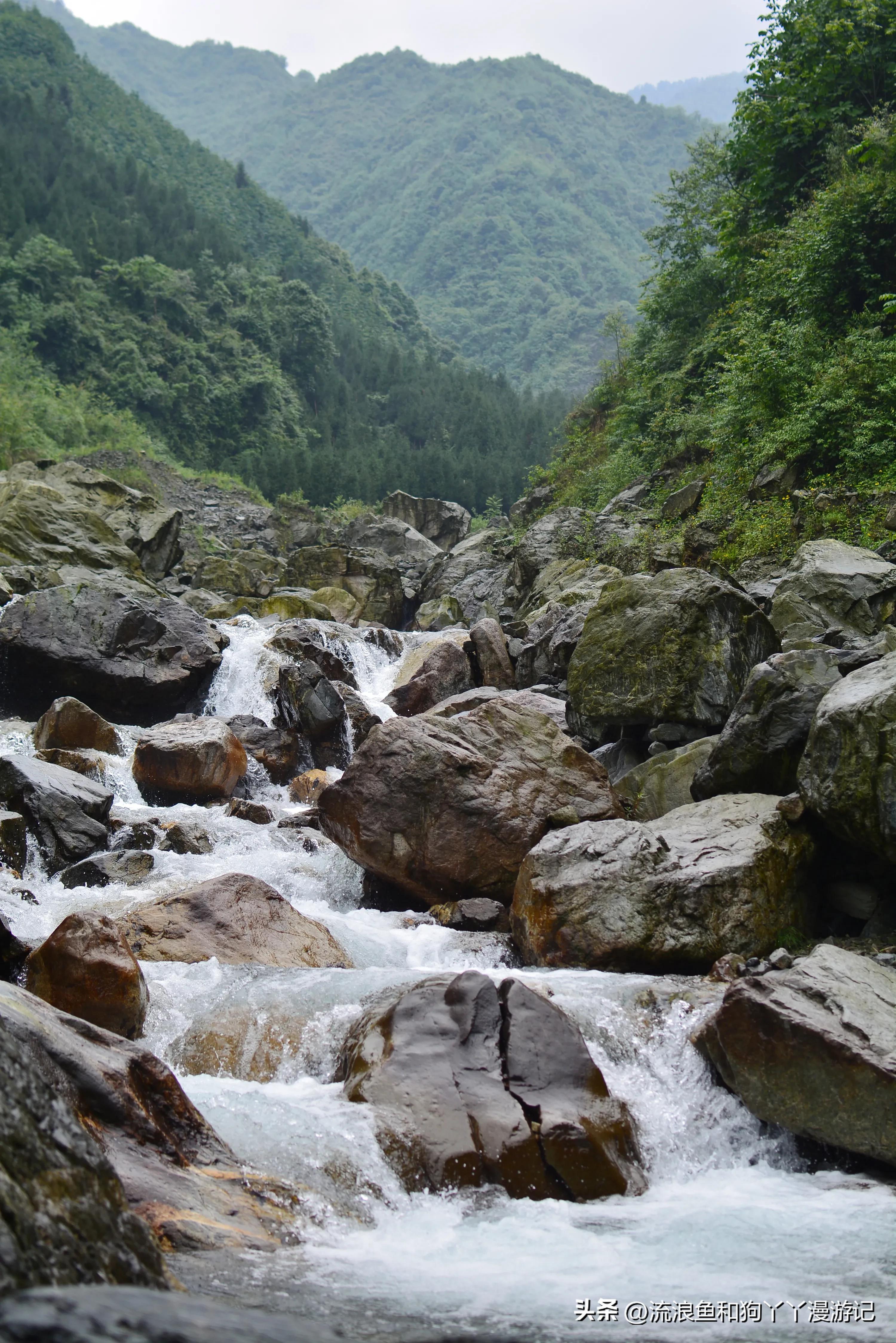 四月份成都近郊一日游好去处,2022成都近郊看雪一日游最佳去处
