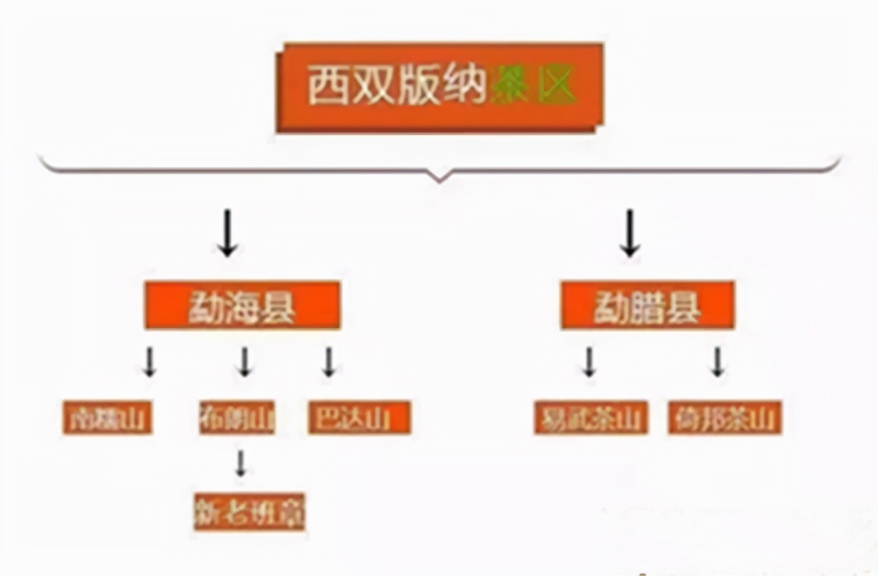 某音某宝花了50000买茶叶后，我总结的普洱茶选购（避坑）指南