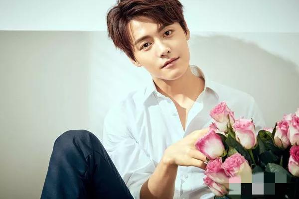 全国各省帅哥排行榜,盘点全网最帅的帅哥排名榜