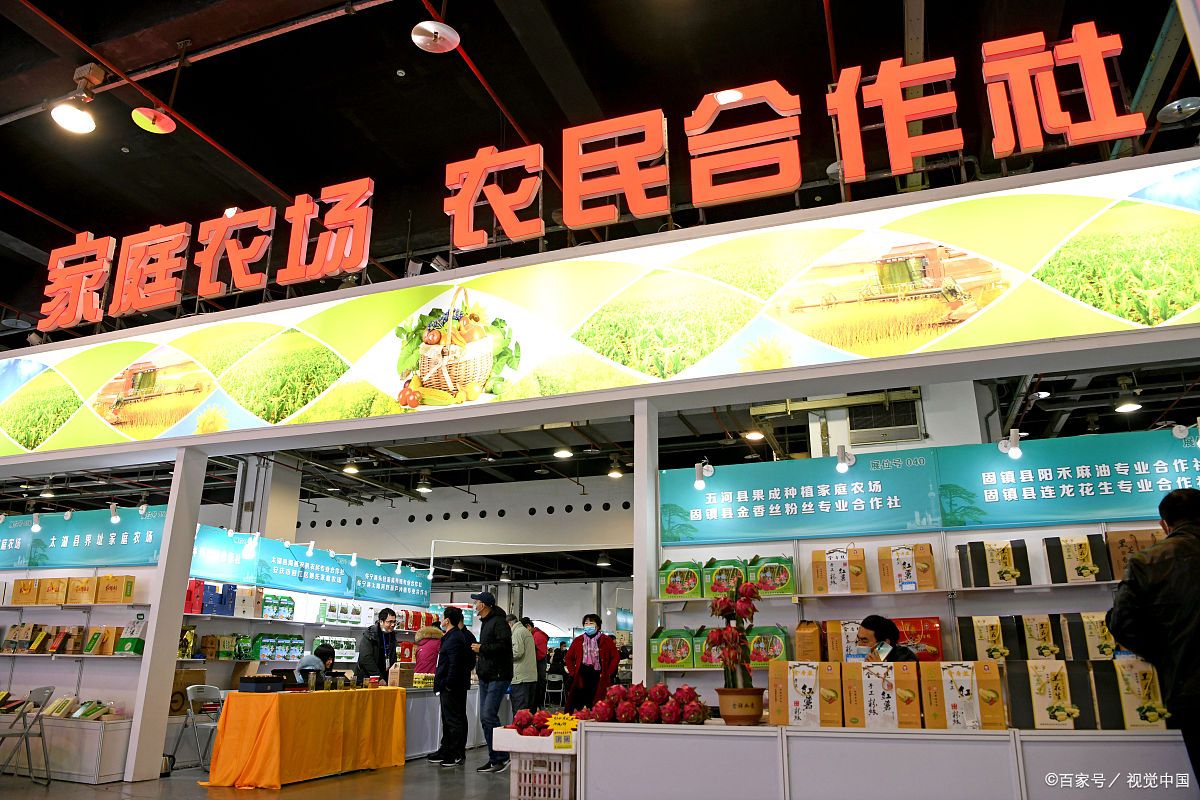 农民专业合作社带动农户发展方式,农村合作社振兴乡村的中坚力量