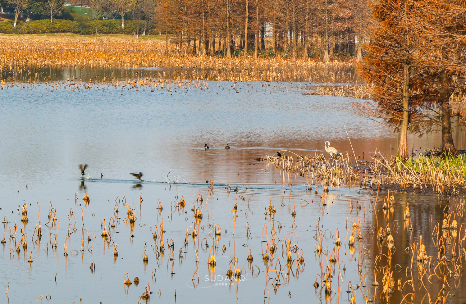 吴江区2023年gdp和财政收入,吴江区黎里镇2021年gdp是多少