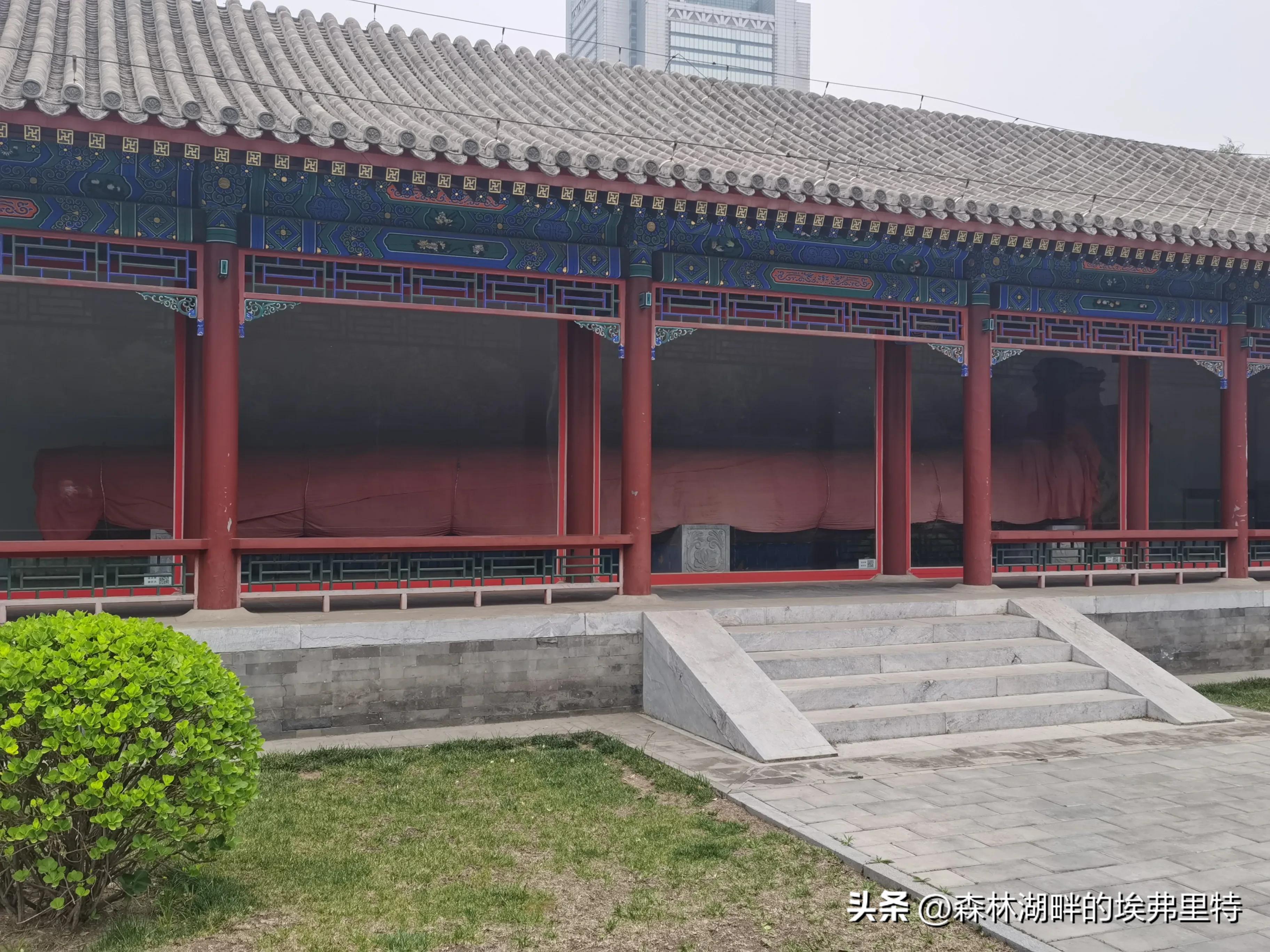 北京庆丰公园里的“神木”