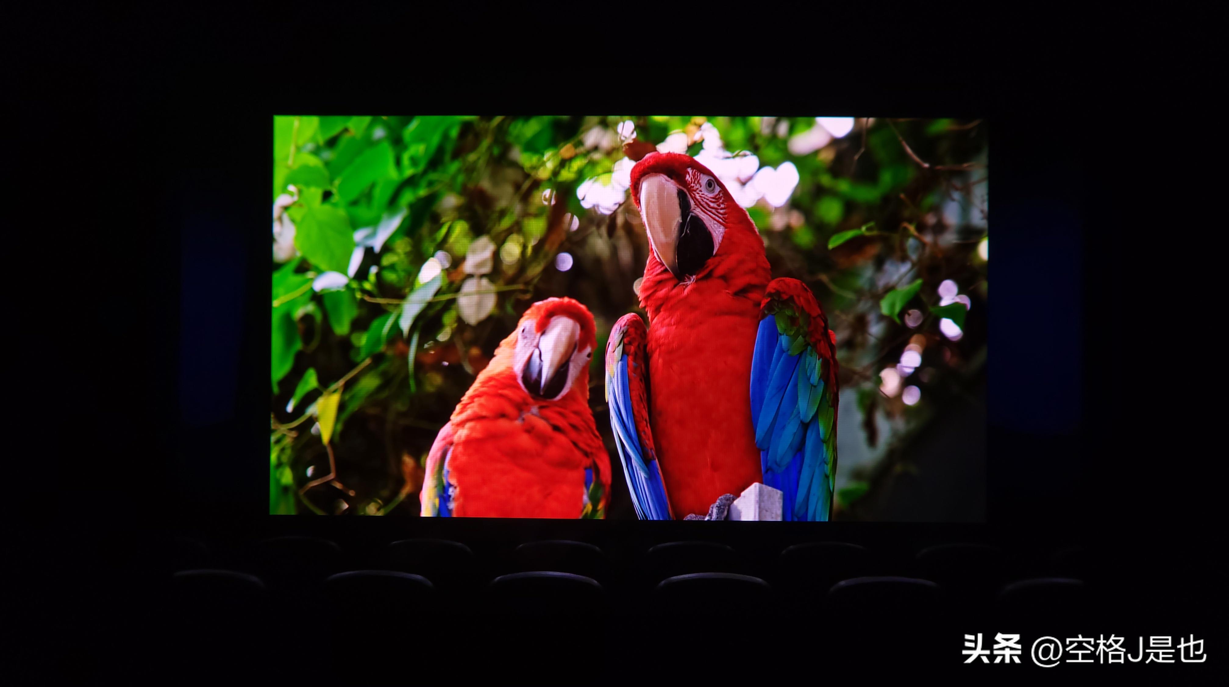 随身IMAX私人影院体验GoovisG3Max深度测评