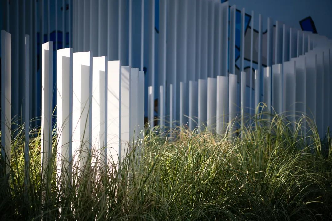 元亩塘公园景观设计,高端公园绿化景观设计