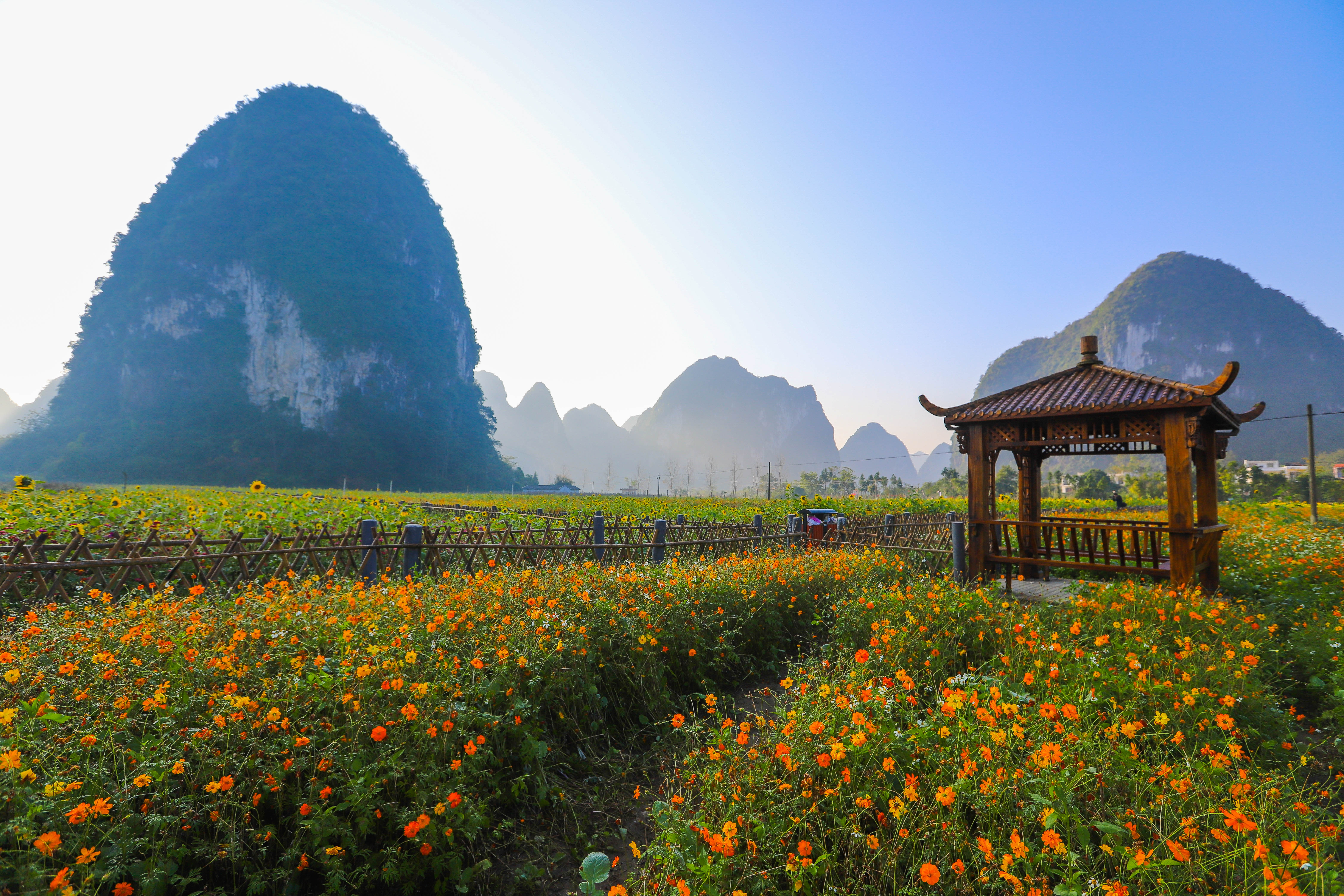 广西最美的旅游小镇,广西春天赏花