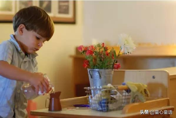 蒙氏圆教具,蒙氏园夏季主题教学