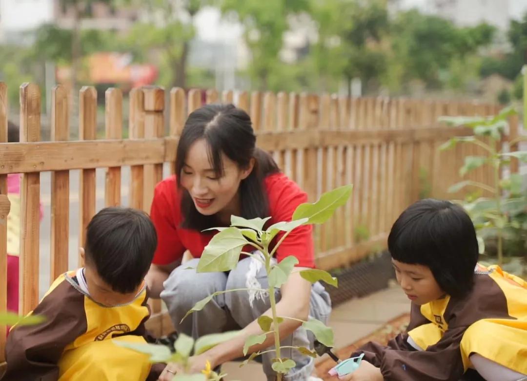 校园文化十大亮点,校园文化特色经验交流