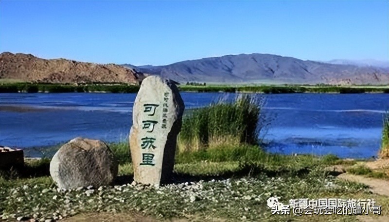 家庭商务车8人座,家庭车7座旅游车推荐