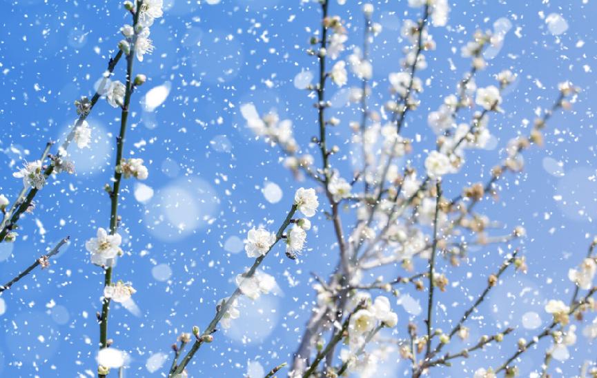 提醒老人注意防寒温馨提示语,提醒中老年人