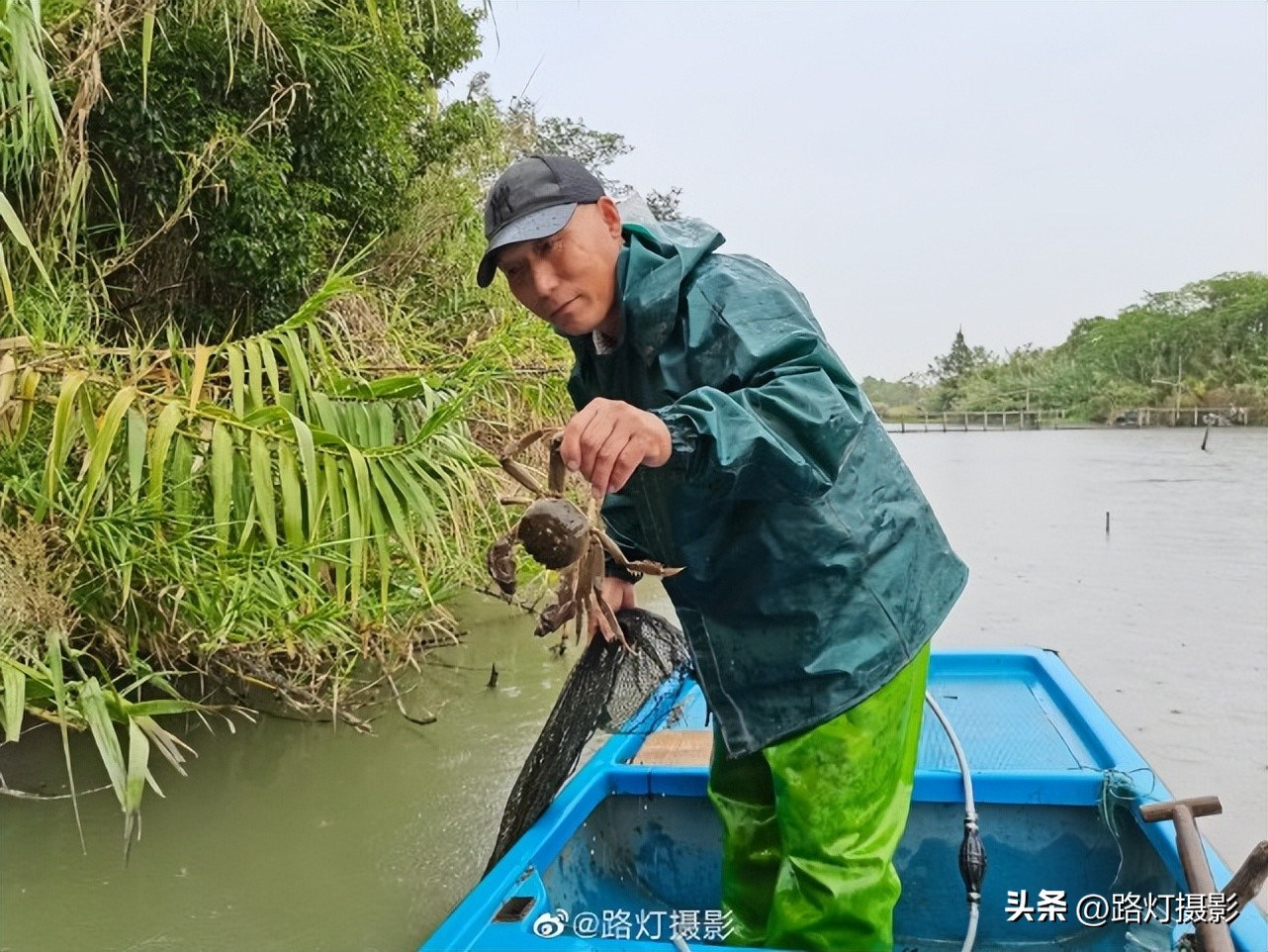壳薄肉嫩、鲜香肥美！秋天不必下江南，在北京就能吃到“六月黄”