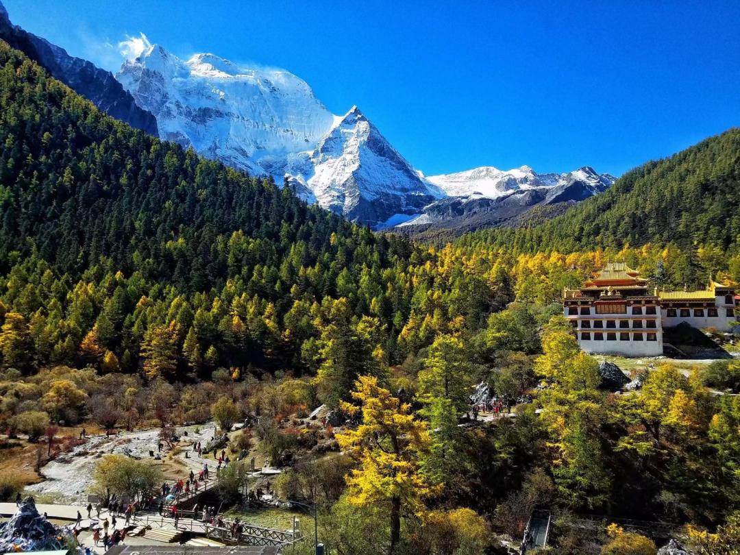 火出圈啦,甘孜文旅局长化身侠客火出圈