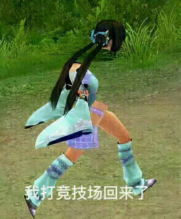 剑网三表情包抖音,剑三萌鸡表情包