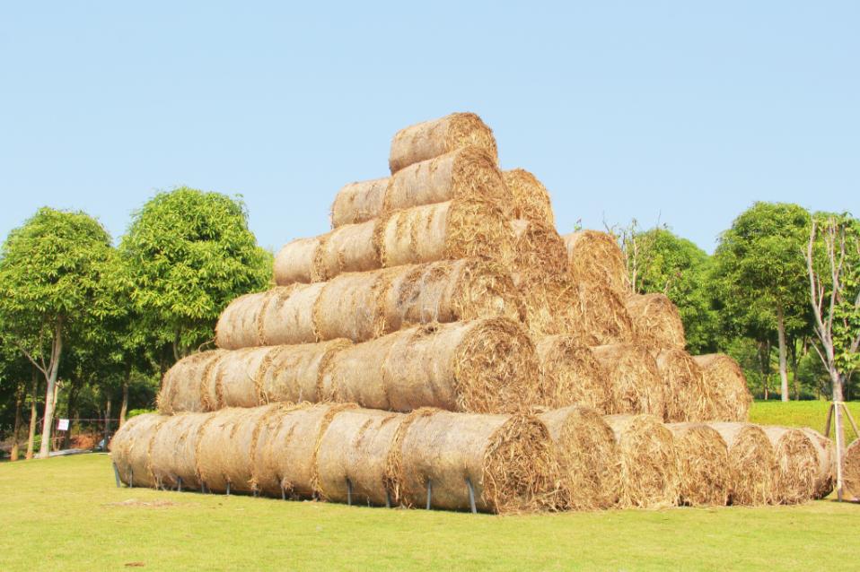 郁金香主题公园稻草人,2022年郁金香花海贵州