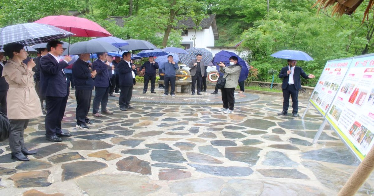 镇安观摩会重点项目,镇安县交流会