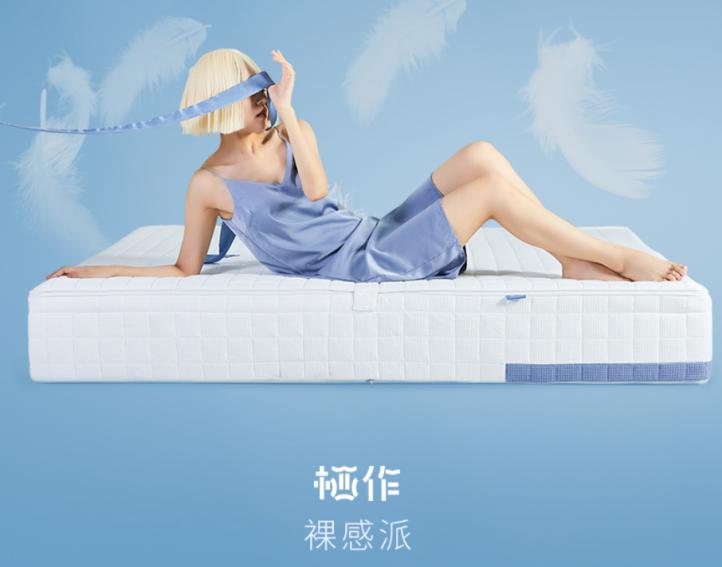 床垫价格表床垫十大品牌,推荐的十大床垫