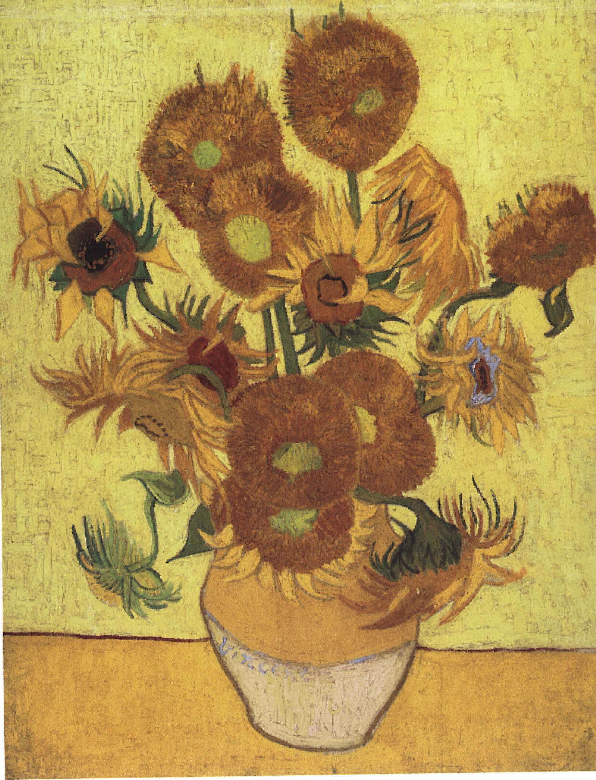 荷兰阿姆斯特丹景点,荷兰阿姆斯特丹旅行视频