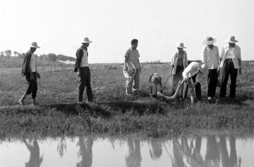 “蛊”究竟是什么？1958年我国蛊病泛滥成灾，毛主席亲自部署