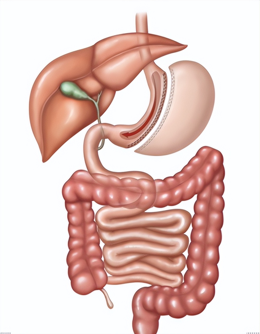 阿根廷夺冠回顾,阿根廷夺冠全回顾