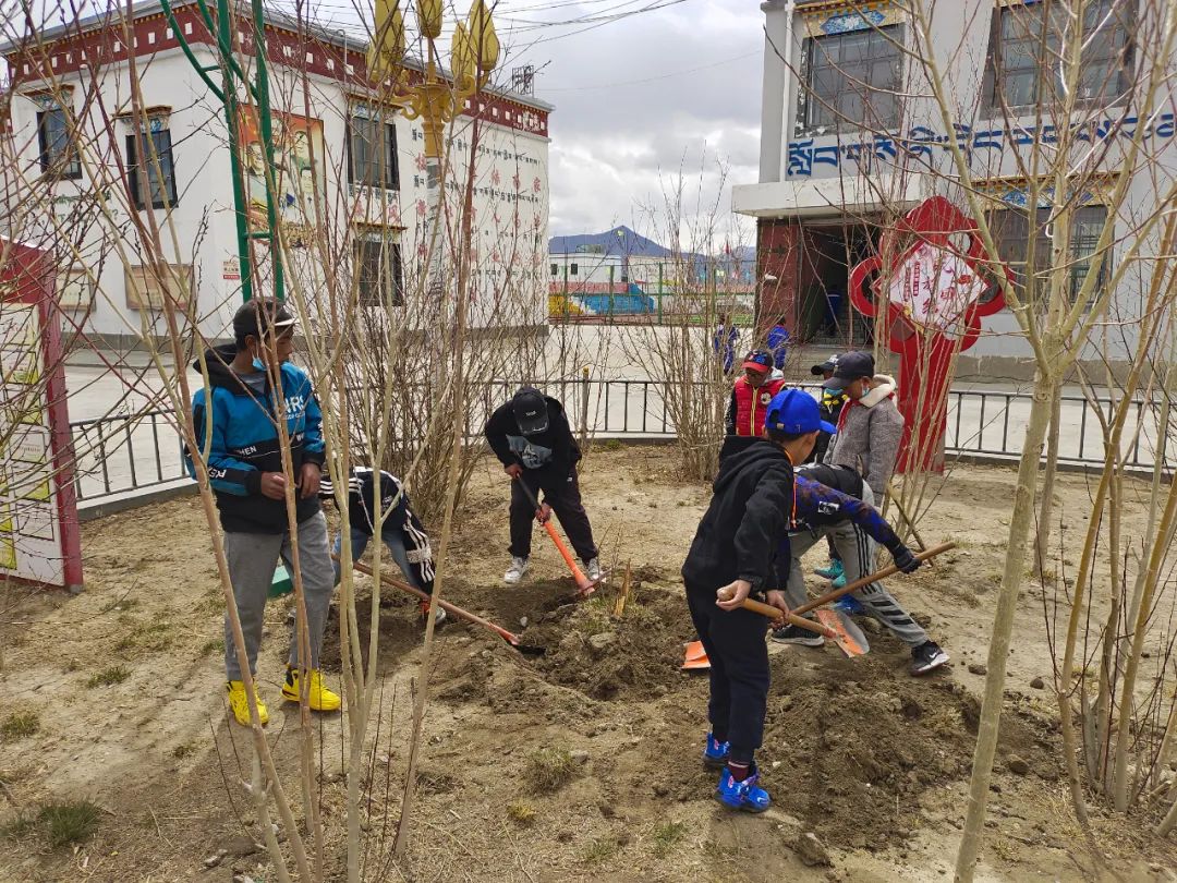 格桑曲培出生日期,曲培格桑