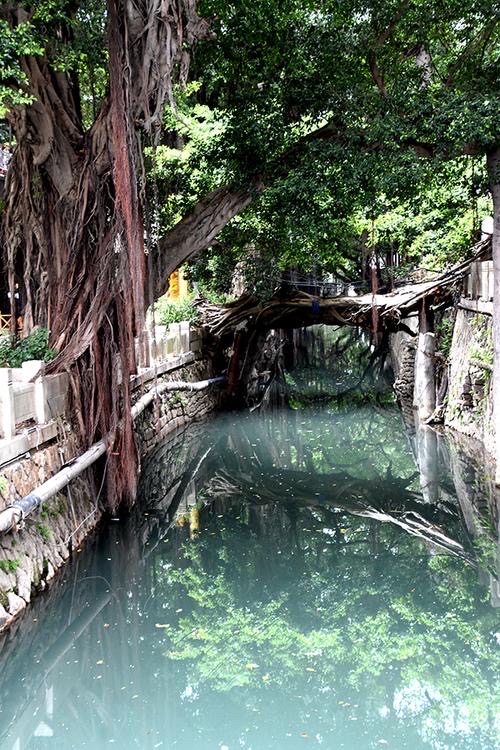 高高的紫云山,我们的青春故事曾在这里演绎