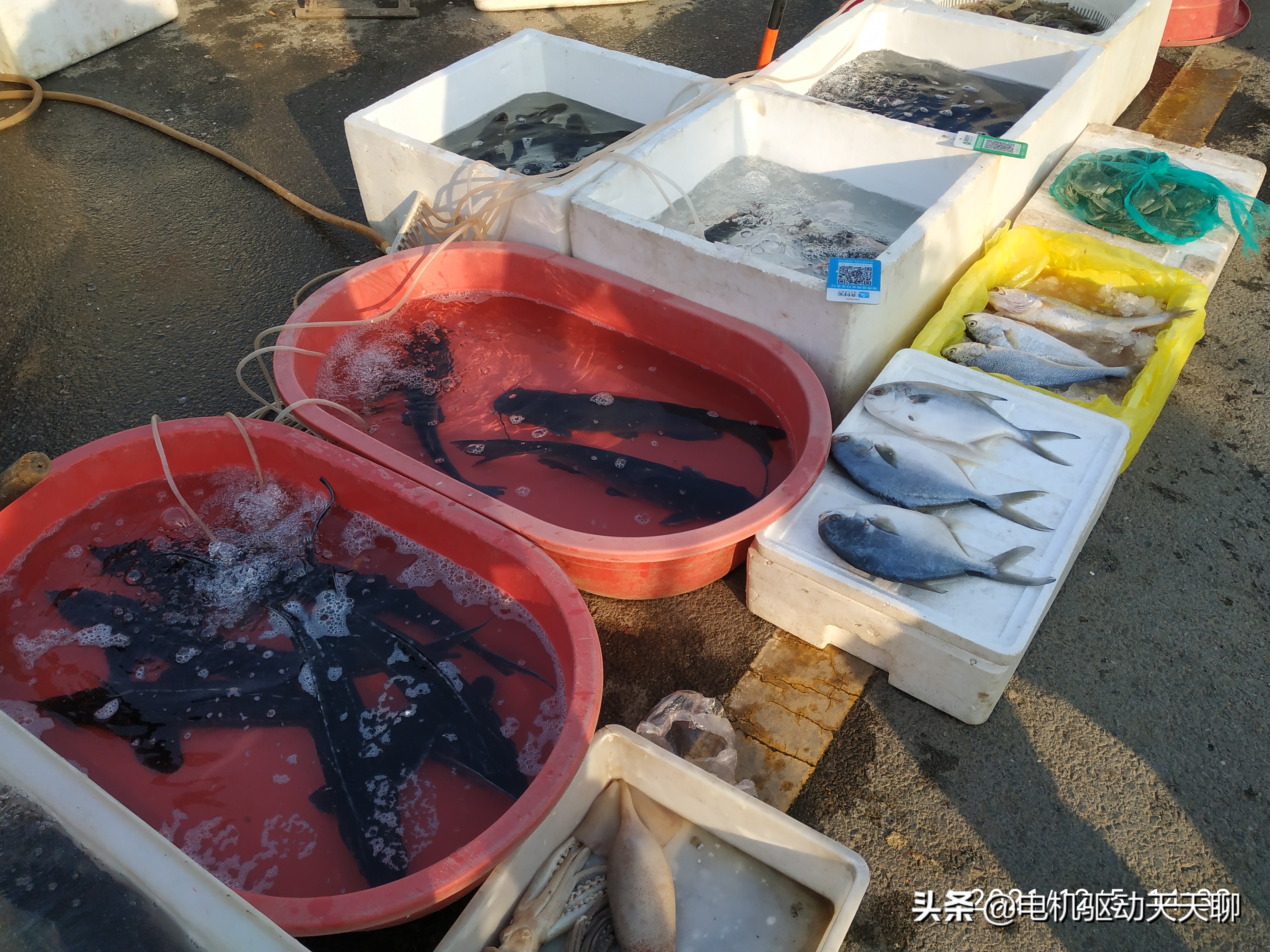 房山窦店田家园大集乘车路线,窦店田家园大集初几开