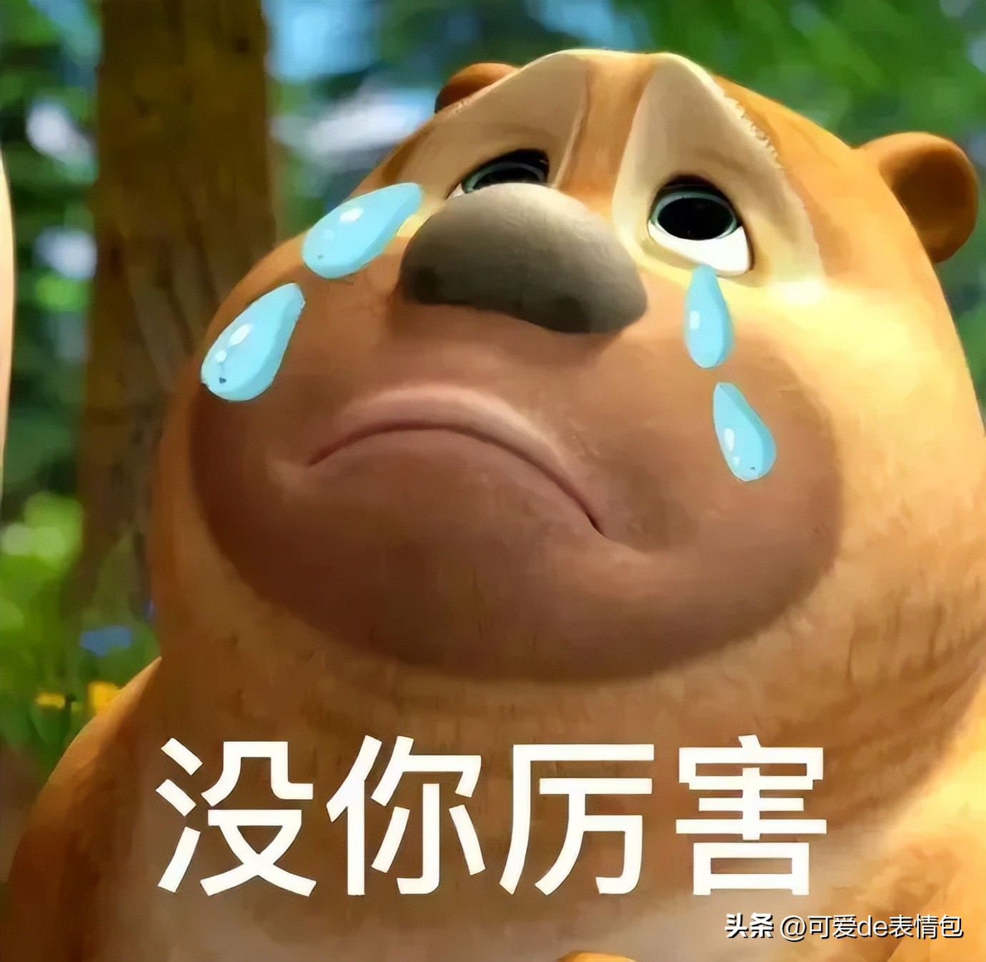 抖音黑人老嫂子搞笑表情包合集