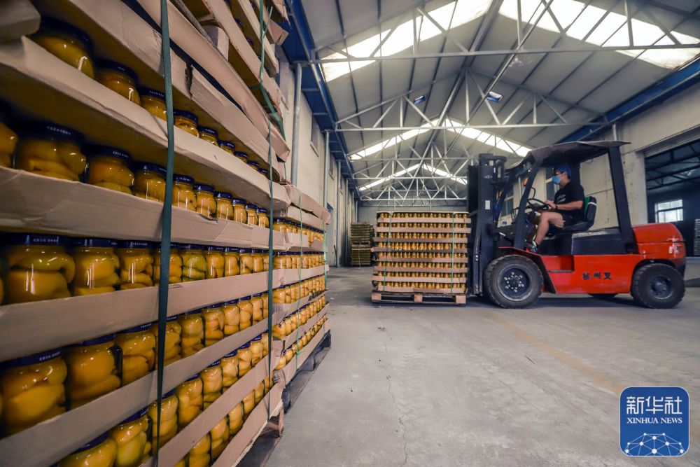 遵化市农产品加工,遵化农产品加工忙