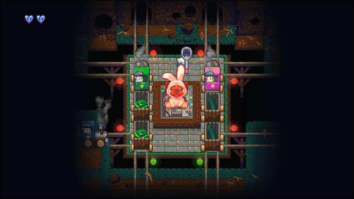 请问要来点兔子吗,请问要来点兔子吗高清