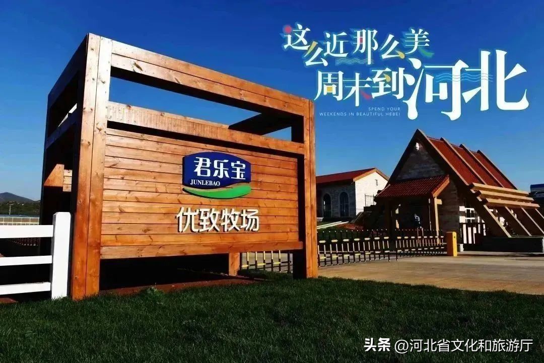 明星来保定视频,明星来河北