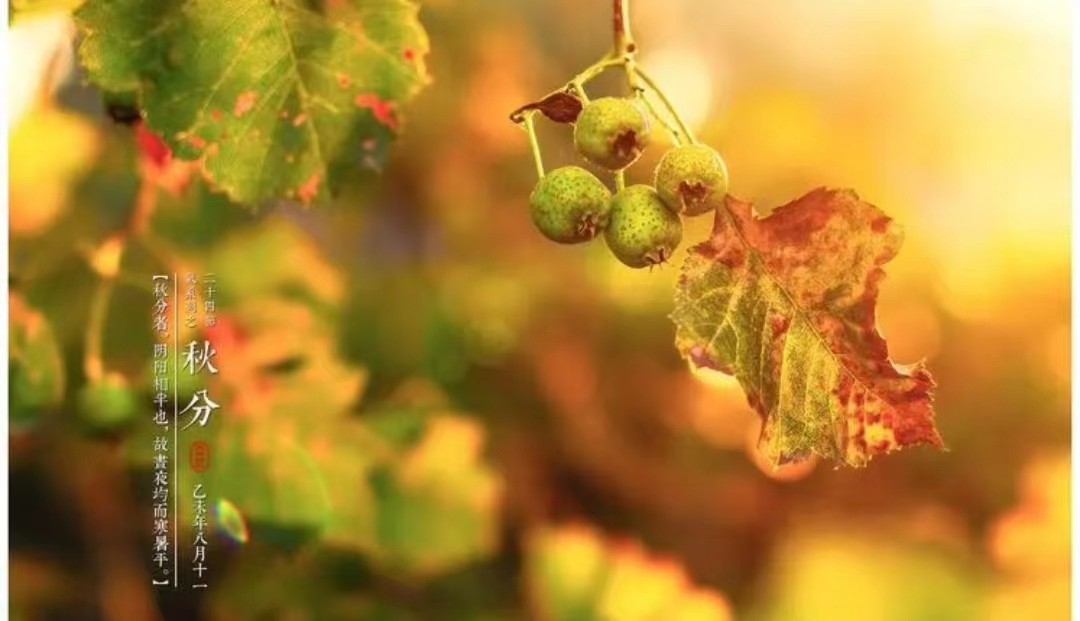 闰年闰月24节气怎么算出来的,二十四节气是什么人发明的