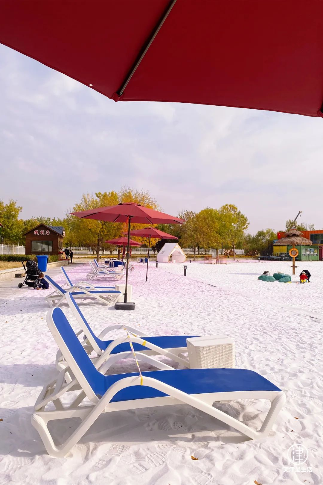 阳性+6例！蓟州这些场所开放！但为嘛我劝你，周末一定去趟武清区