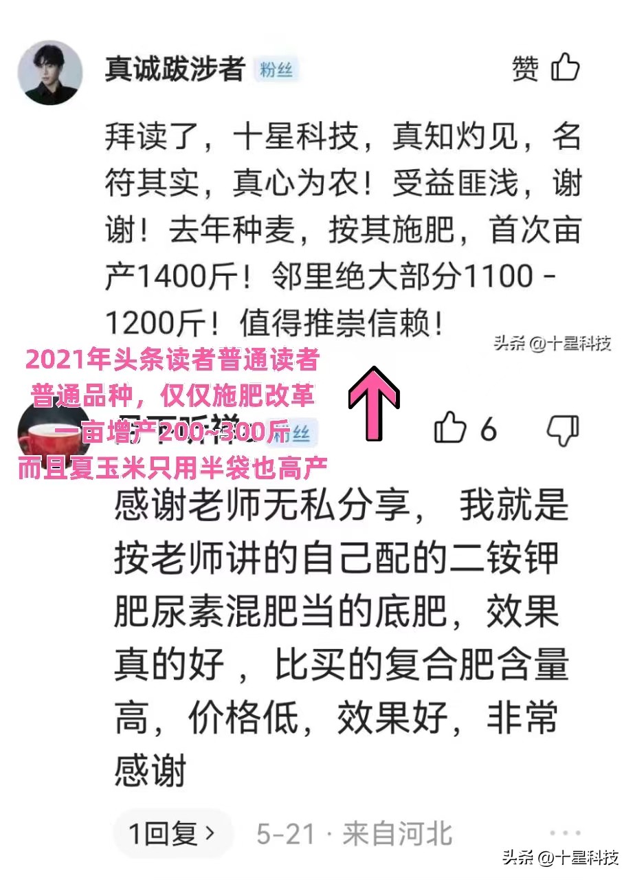 让一部分种子经销商“连升三级”,超越“同行”很容易