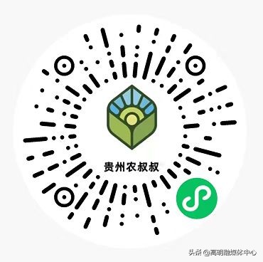 黔东南水果去哪吃？高明街坊只需扫码下单新鲜水果送到家