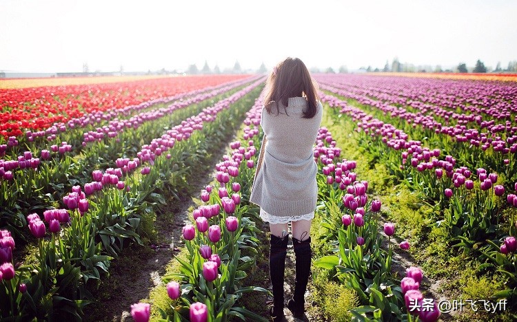 女人爱上蓝颜知己的表现,已婚女性蓝颜知己