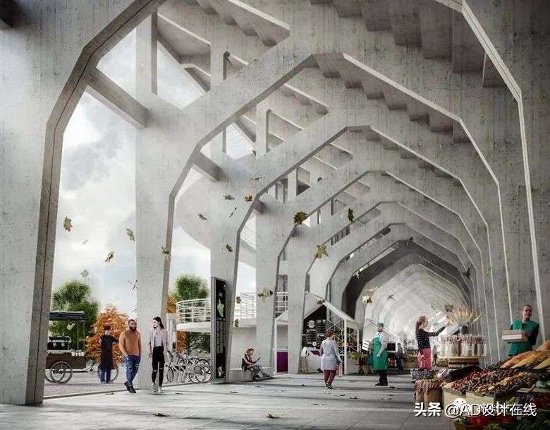 弗兰基球场改建,佛罗伦萨弗兰基球场