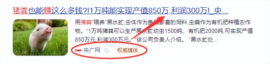 2023年禁止农村养猪狗鸡?官方发文,透露藏在农村的3大暴利行业