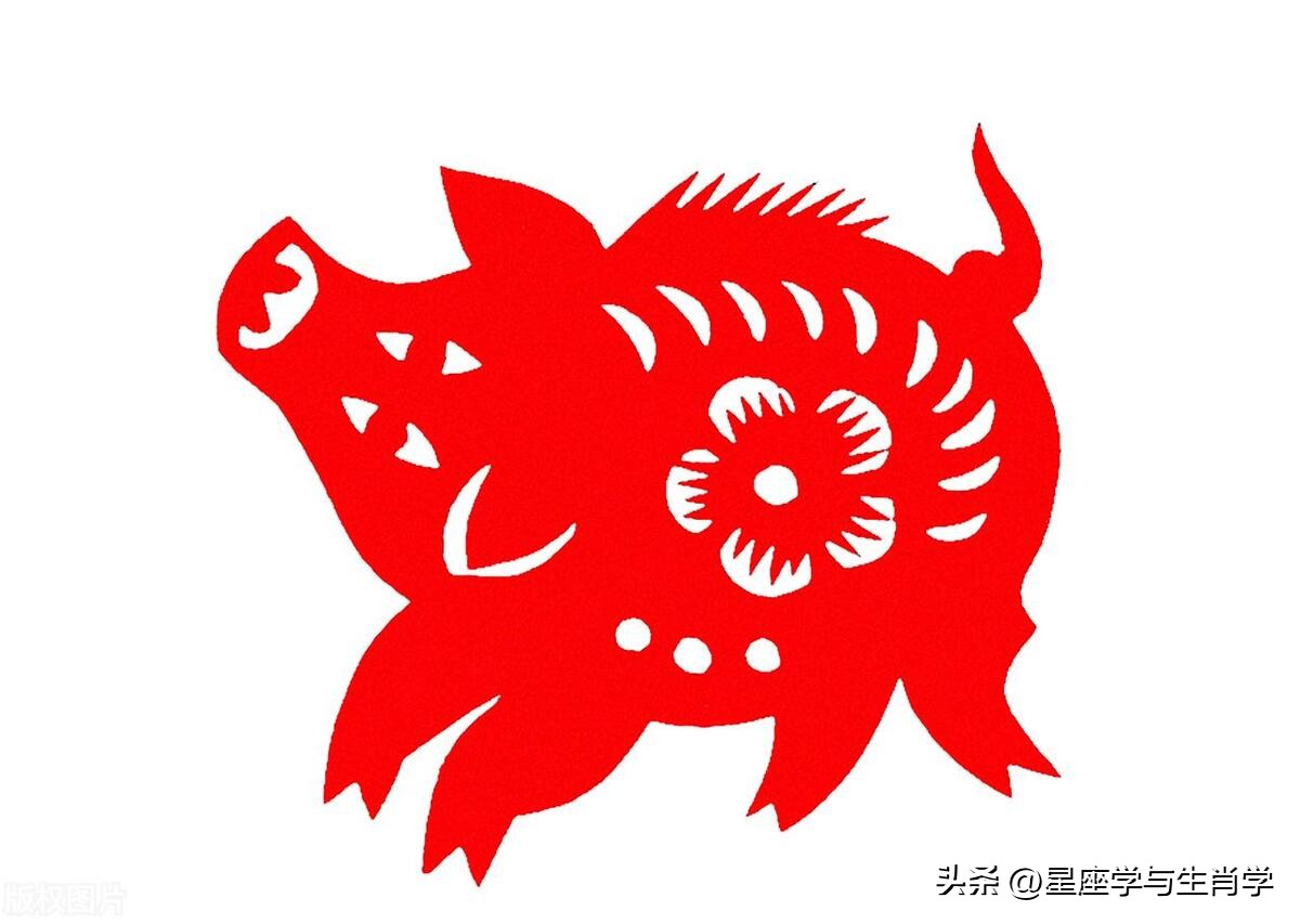 生肖猪财运财富运势如何,生肖猪接福运财运亨通图片