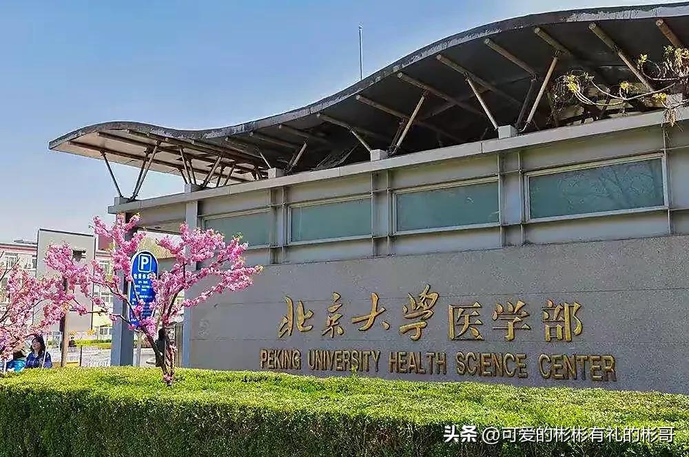北京大学顶尖高校,北京大学最强的一个学院