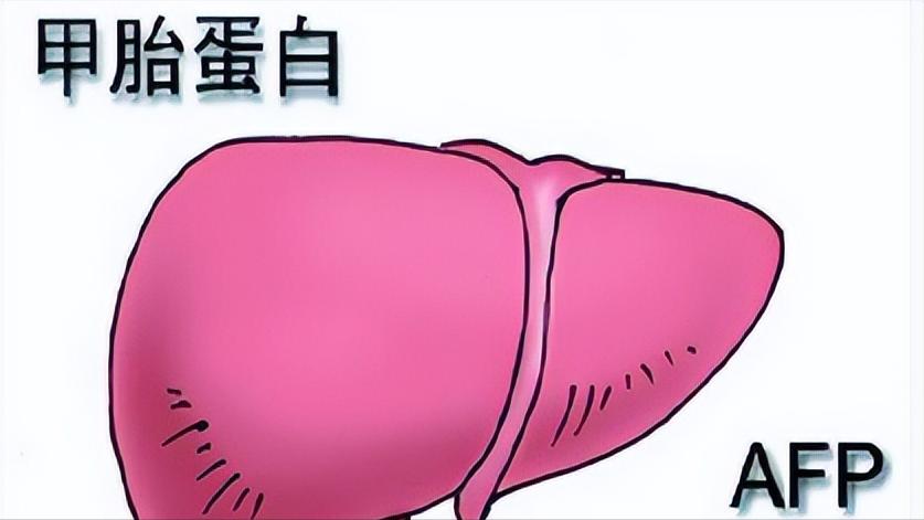 谷丙转氨酶高怎么回事是什么病,谷丙转氨酶高怎么回事严重吗